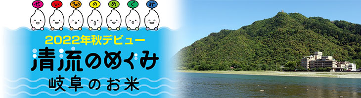 岐阜のお米 清流のめぐみ